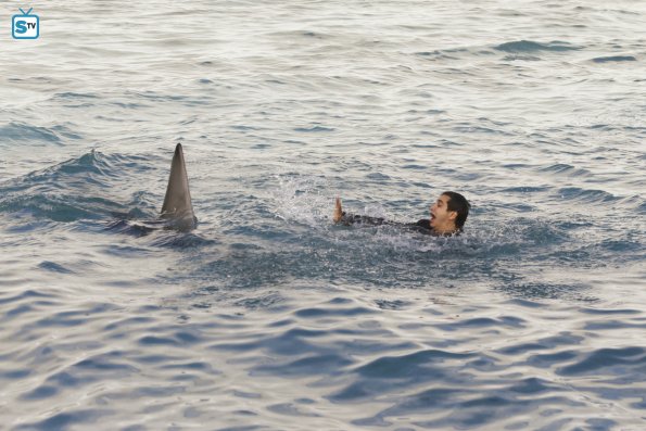 Walter O'Brien (Elyes Gabel) dans l'eau avec un requin